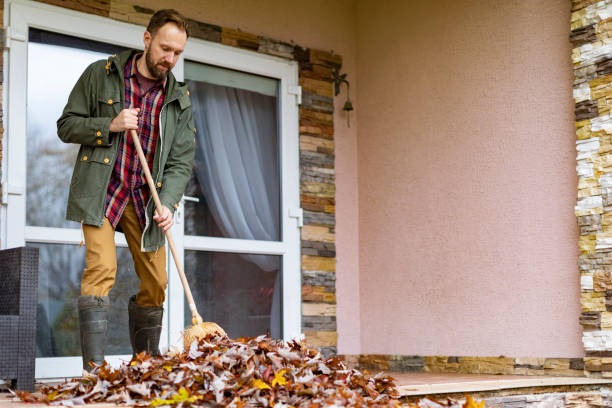 Yard Cleanup Services in Astor, FL